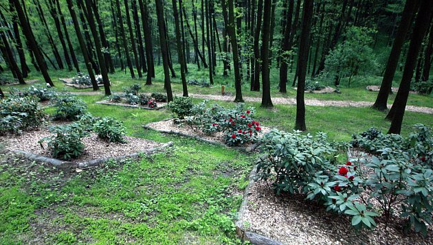 Zoo v Ostravě se může chlubit největší koncentrací rododendronů v celé České, ale i Slovenské republice.