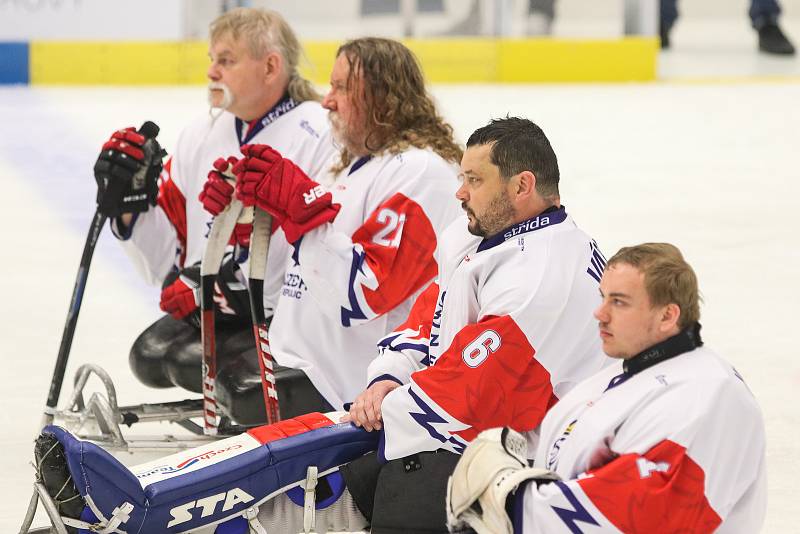 Mistrovství světa v para hokeji 2019, Korea - Česká republika (zápas o 3. místo), 4. května 2019 v Ostravě. Na snímku (zleva) Hrbek Miroslav (CZE), Kvoch Tomas (CZE), Vapenka Michal (CZE), Kudela Martin (CZE).