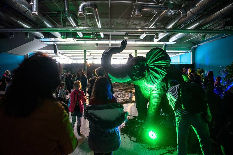 Ostrava ČokoFest 2019 na výstavišti Černá louka. 2.listopadu 2019 v Ostravě.