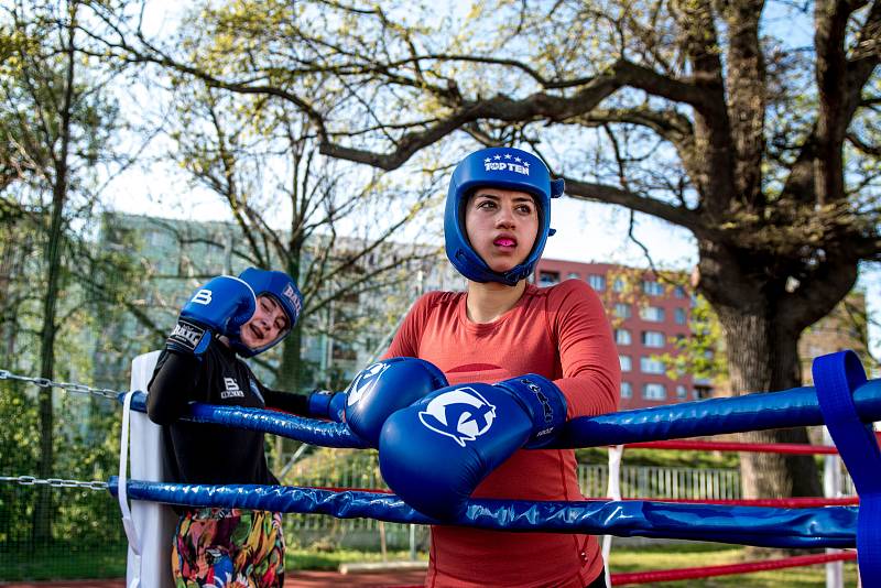 ZŠ Nádražní v Ostravě 19. a 20. dubna 2019 hostila kemp boxerských reprezentací Česka, Litvy a Polska.