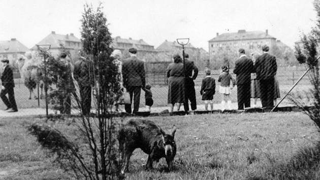 Areál zoo v Ostravě-Kunčičkách v r. 1954.