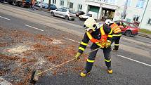 Kvůli větru musela být v Ostravě přibližně na půl hodiny zastavena tramvajová doprava v ulici 1. máje. Třicetimetrová lípa se se zde opřela do trolejí.