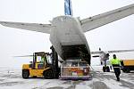 Vykládka nákladního letounu AN 26 ve službách DHL na letišti v Mošnově