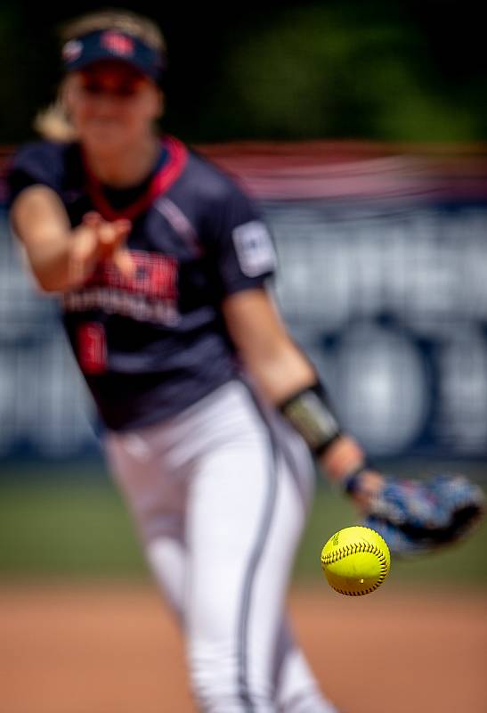 Celkový vítěz v kategorii série (Mistrovství Evropy žen v softballu) v rámci soutěže sportovní fotografie roku 2019.