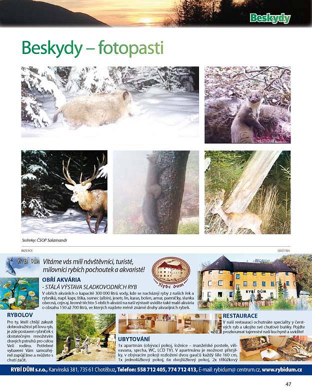 Příloha tištěného vydání Deníku Beskydy z 29. listopadu 2014.