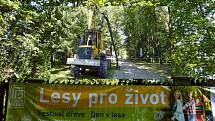 Festival dřeva, Bělský les, Ostrava, 11. září 2021.