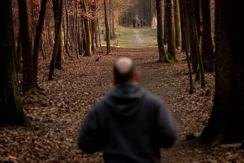 Lidé v rouškách na procházce v Bělském lese v Ostravě, 28. března 2020