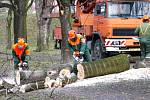 Kácení stromů v ostravských Komenského sadech