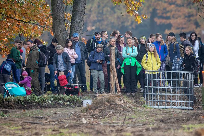 Sázíme lesy nové generace, 19. řina 2019 v Šilheřovicích.