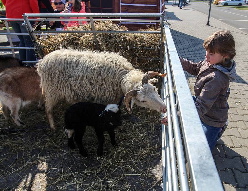 Farmářské trhy u nákupního centra Futurum v Ostravě, duben 2018.