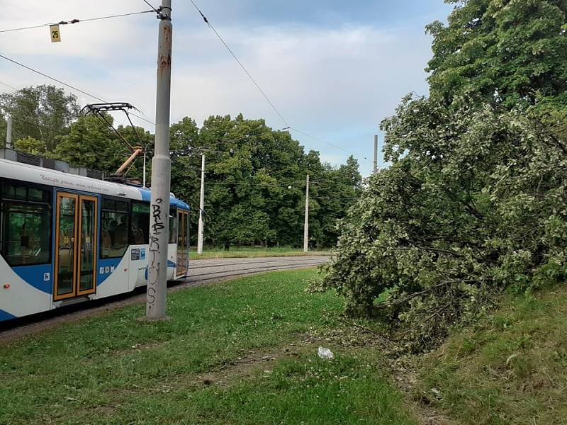 Auto v Ostravě skončilo v koruně stromu. Pak dopadlo k tramvajovým kolejím. Snímek z místa nehody.