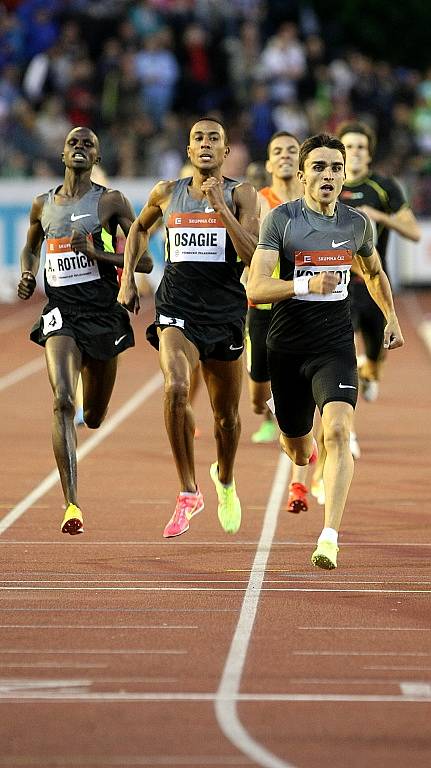 Zlatá tretra, 800 metrů muži, Adam Kszczot.
