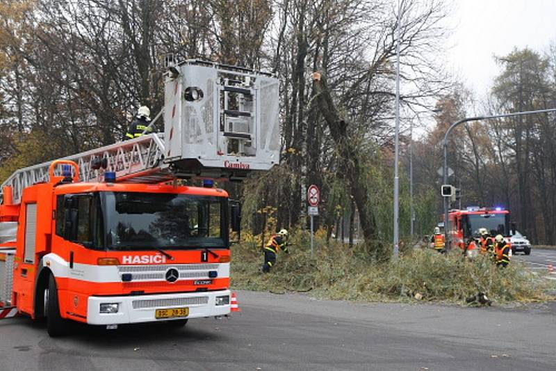 Vrbu, jejíž větve hrozily pádem, ořezávali v úterý dopoledne ostravští hasiči. Zasahovali u křižovatky ulic Plzeňské a U lesa nedaleko radnice v městské části Ostrava-Jih. 