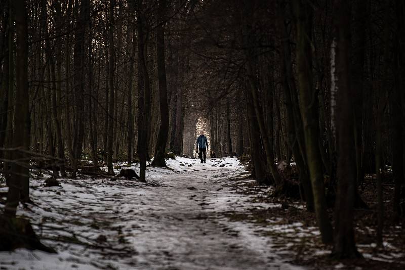 Jarní počasí v lesoparku Bělský les, 24. února 2021 v Ostravě.