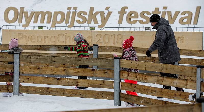 Olympijský festival u Ostravar arény