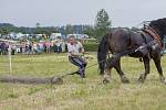 25. ročníku dostihů ve Světlé Hoře, sobota 8. července 2017