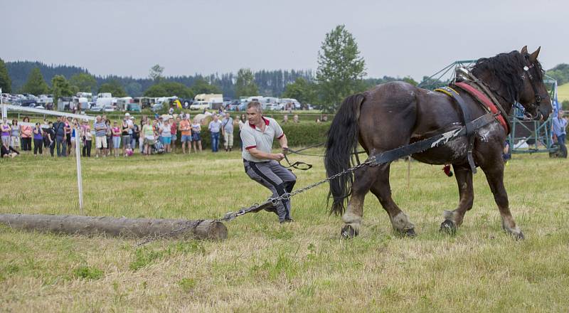 25. ročníku dostihů ve Světlé Hoře, sobota 8. července 2017