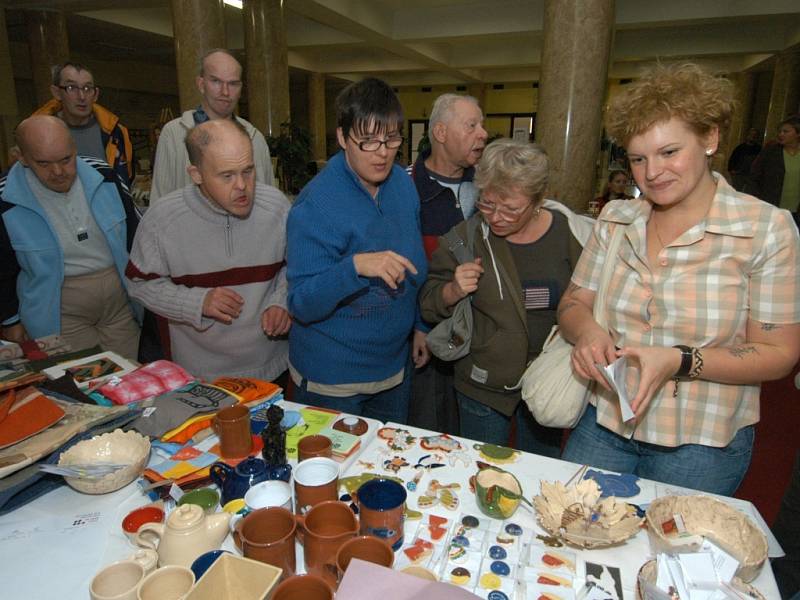 Součástí Evropských dnů handicapu byl i úterní jarmark v Domě kultury města Ostravy. Postižení tu vystavovali a prodávali svoje výrobky. 