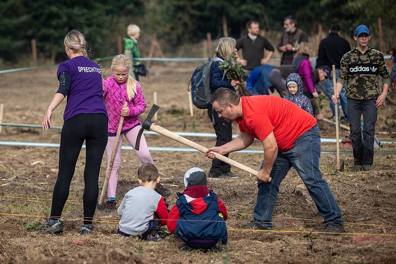 Ilustrační foto z akce Sázíme lesy nové generace, která se uskutečnila 19. řina 2019 v Šilheřovicích.