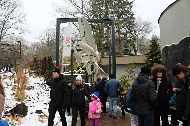 Vánoční čas v Zoo Ostrava, 24. prosince 2021.