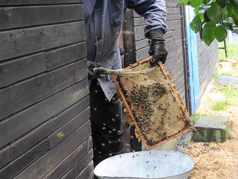 Šestaosmdesátiletý včelař Ivan Korba ze Slezské Ostravy při stáčení medu z druhé snůšky. 