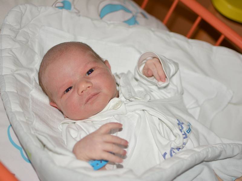 ŠIMON RAČKO 11. 10. 2016, 3750 g, 51 cm, Šenov