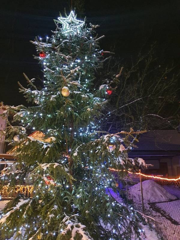  V Třanovicích mají vánoční strom jako součást vánočního domu, který se nachází kousek od zastávky "Třanovice na Cymbalce". Snímky zaslal Jakub Palach.