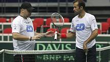 Čeští tenisté se od pondělka připravují v ostravské ČEZ Aréně na utkání prvního kola Davisova poháru s Nizozemskem.
