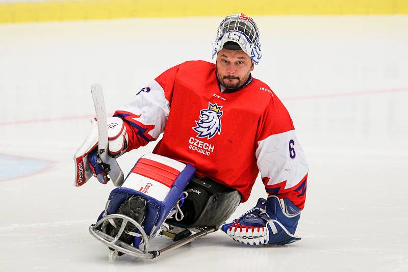 Mistrovství světa v para hokeji 2019, Česká republika - Japonsko, 27. dubna 2019 v Ostravě. Na snímku Vapenka Michal (CZE).