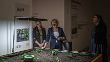 Zemědělské muzeum v Ostravě má od dubna 2022 novou expozici. Na snímku tertill, zařízení na hubení plevele.