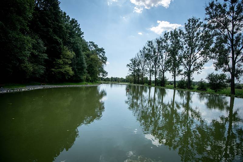 Rybníky v Nové vsi.