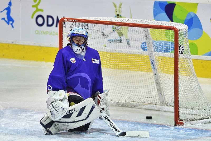 ODM Winter 2018 - hokej finále Vysočina vs. Moravskoslezský kraj