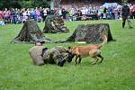 Army Family Day v areálu Landek Parku v Ostravě.