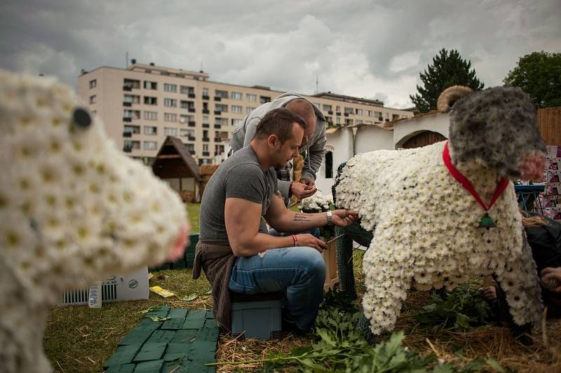 Havířov v květech 2014.