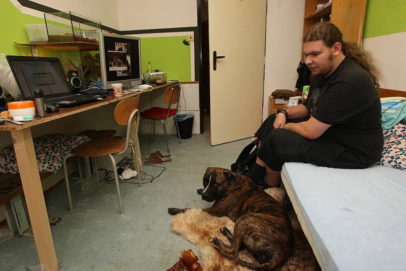 Studenti ubytovaní na kolejích Vysoké školy báňské-Technické univerzity v Ostravě mají u sebe na pokoji psa, užovku čínskou i štíry.