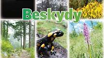 Příloha tištěného vydání Deníku Beskydy z 29. listopadu 2014.