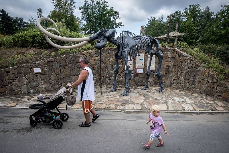 Představení kosterního modelu mamuta srstnatého v Zoologické zahradě Ostrava 15. srpna 2018.