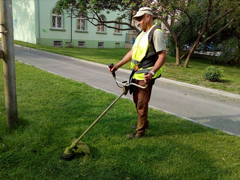 Sečení trávy. Ilustrační foto.