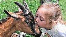 Školička na farmě: děti si užijí pečování o zvířata i rostliny