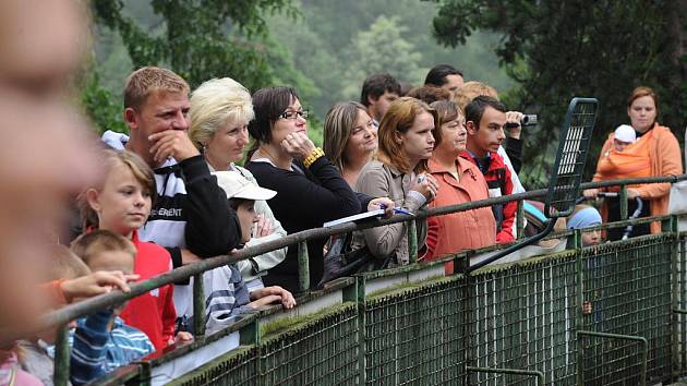 Sobotní krmení šelem se setkalo s nebývalým zájmem navštěvníků. Krmení zvířat bylo doprovázeno odborným výkladem ošetřovatelů těchto zvířat chovaných v zajetí.