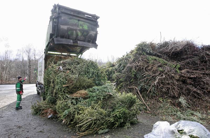 Vánoční stromky od popelnic se v Ostravě sváží po celý leden.