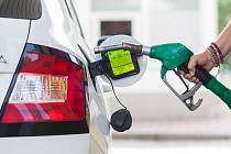 Sledování cen nafty a benzinu spustilo ministerstvo financí v březnu letošního roku. Po dvou měsících k tomu přidalo i distributory paliv. Provize poté nepřetržitě každý měsíc klesaly. 