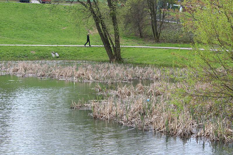 Pustkovecké údolí s parkem a rybníkem je oáza klidu a patrně jedno z nejpohodovějších míst v Ostravě.