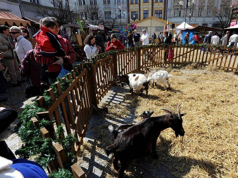 Veli­konoční jarmark začal ve středu na Jiraskovém náměstí v Ostravě.