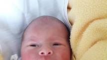Vanessa Vítek z Havířova, narozena 13. dubna 2021 v Havířově, váha 2390 g, míra 44 cm. Foto: Michaela Blahová