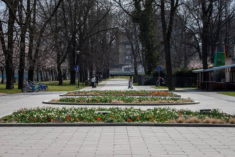 Ostrava (Komenského sady) v celostátní karanténě, 4. dubna 2020. Vláda ČR vyhlásila dne 15.3.2020 celostátní karanténu kvůli zamezení šíření novému koronavirové onemocnění (COVID-19).