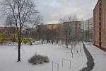 Ostrava, první sníh, leden 2021.