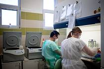 Laboratoře AGELLAB, které jako první soukromé laboratoře v republice obdržely od Státního zdravotního ústavu povolení testovat přítomnost koronaviru, 18. března 2020 v Ostravě. Denně zde vyšetří až 250 vzorků.