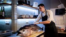 Porcování čerstvého tuňáka z Japonska v restauraci Gokana, 25. května 2023, Ostrava.