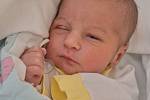 Brandon Bruce Slepčík, Karviná, narozen 10. června 2022 v Karviné, míra 48 cm, váha 2800 g. Foto: Marek Běhan